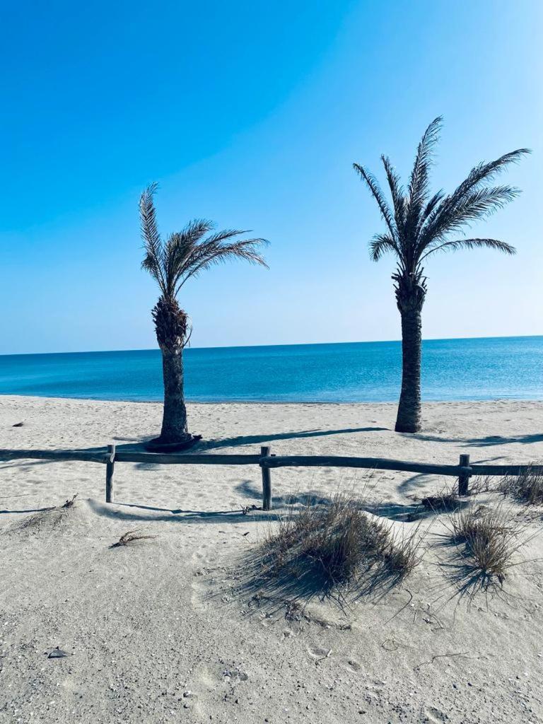 Paradis Bleu Vue Mer, Direct Plage Le Barcarès Esterno foto